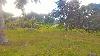 Agricultural Land for Sale in Naga, Cebu